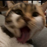 Aki (@aki_yehuo) 's Twitter Profile Photo Aki (@aki_yehuo) 's Twitter Profile Photo