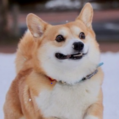 fullcourse123's profile picture. 