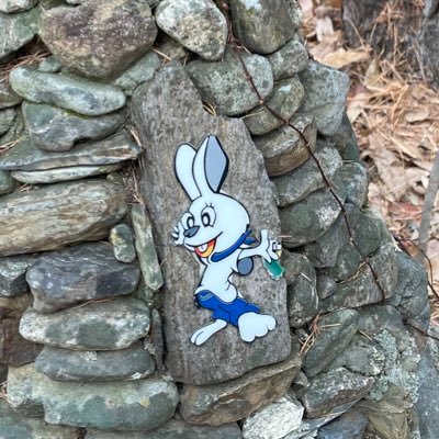 gmz3355's profile picture. 