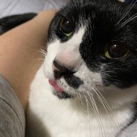 ジュピ太(料理長) (@gromit_jupiter) 's Twitter Profile