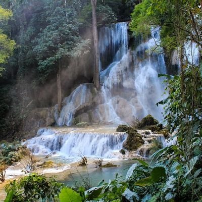 SortoWeldon's profile picture. suuuuuuuuuuuuu