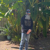 David Wells (@davidwe00793745) 's Twitter Profile