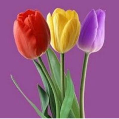 Galancianon's profile picture. "Según el fatu así ye'l tratu"