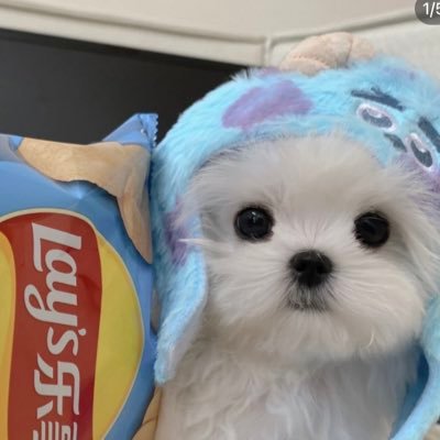 kiana9226's profile picture. 