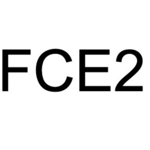 FCE2