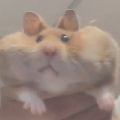 laewmantammai's profile picture. อย่ามาอยู่กับกุ้ง