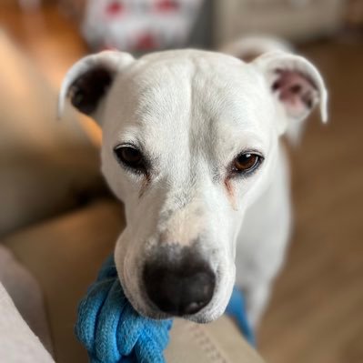 MikeDue11's profile picture. Proud member of Team Jesus since 1964.