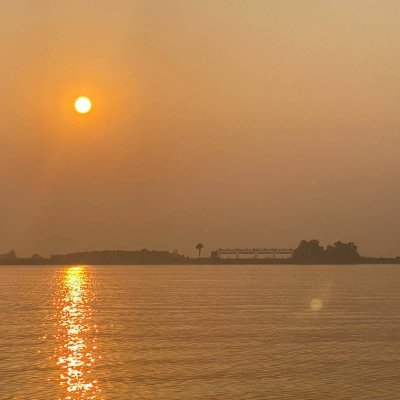 nikita_bindal's profile picture. 