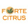 FORTECITRUS's profile picture. 🍊"Prevenir las enfermedades que amenazan a los cítricos españoles es nuestra prioridad "🧫 @GVAivia 👩🏻‍🔬 PID2021-124145OR-C21 🧬@AgEInves 🇪🇸 🇪🇺