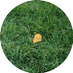 삐약 (@durunyam) Twitter profile photo 삐약 (@durunyam) Twitter profile photo