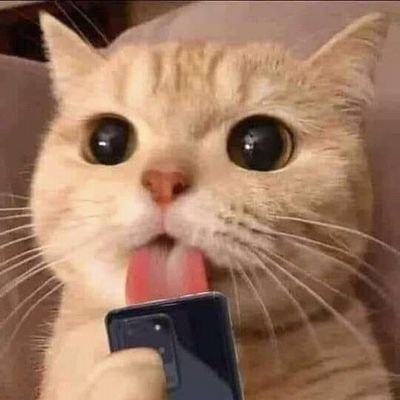 congratssejuta's profile picture. win win meowin