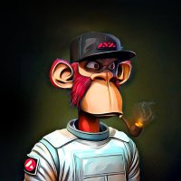 CryptoWookiee 🐒 (@chewbaccoin) 's Twitter Profile Photo CryptoWookiee 🐒 (@chewbaccoin) 's Twitter Profile Photo