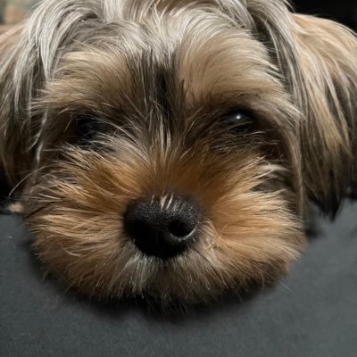 happy_gogo55's profile picture. 最近ついてないのでそれを嘆くアカウント作成