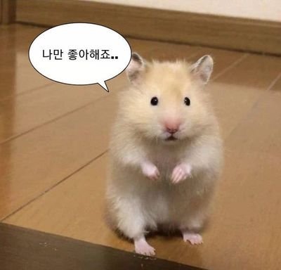 디그레이디/하루동안 현생살면서 생각했던 빻은생각들 끄적이는곳/디엠 오시는분들 애칭은 다 주인님이라구 부를께요..!/정지대비 @yuling_love3/ 사진 영상 재탕 @yuling_love100/
까까 https://t.co/kIwvHd7Rwj