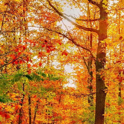 Adelrahmati1's profile picture. Don't worry Worry is nothing but a reason for reason and energy Everything in God Through God And by God Spontaneously Is happening. 🙏