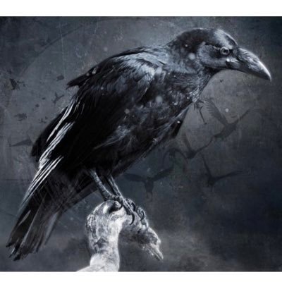 ElElegante2a2's profile picture. ✞ ⚜ ✠ ⌖🥛👌 🇭🇺 🇺🇸 🇦🇷