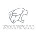 Holy Cross Volleyball (@volleyball_hchs) Twitter profile photo