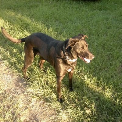 Matt29231782's profile picture. Family man, Community support worker/Public Advocate and PC gamer. To engage and survive is life.