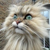 Luke Sewell (@lukessewell) 's Twitter Profile Photo Luke Sewell (@lukessewell) 's Twitter Profile Photo