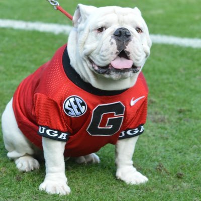 Dawgs!!! Back2BackChamps!! Professional Celebrity Identifier. 100% accuracy in identifying your favorite celebrity. I do my own stunts.