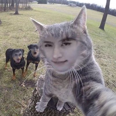 acaisungie's profile picture. 💯