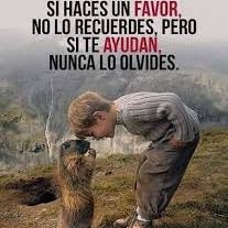 GumereliReyes's profile picture. 