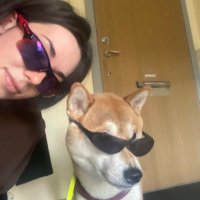 Molly Guggenheimer (@gulleguggen) 's Twitter Profile