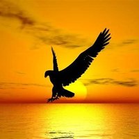 SkyRider2 (@skyrideri) 's Twitter Profile