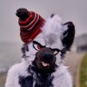 mooderana's profile picture. Yeen | 24 | He/Him