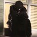 joedoe (@ravagethesavge) Twitter profile photo joedoe (@ravagethesavge) Twitter profile photo