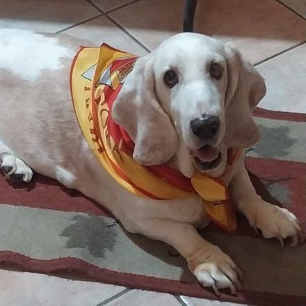 laprofmate11's profile picture. 