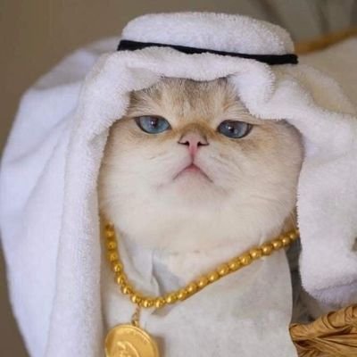 JohnnyW76846809's profile picture. 