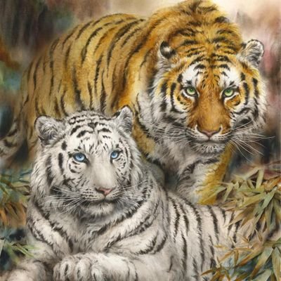 Shasta551's profile picture. Don't know if anything about me is special. Faithful wife of 38 years until his death. Good friend and keeper of secrets, lover of animals, and I love laughter!