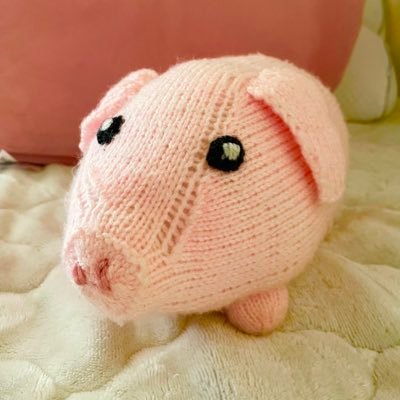 kaori_mcng's profile picture. フィンランド在住2017〜🇫🇮 日常+1型糖尿病(2021.4月診断)アカウント。21Tのことをもっと知りたい。Minimed780G。1型糖尿病合併妊娠→36w誘発👶🏻2y♡は共感の♡