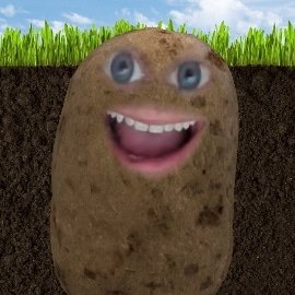 I am a lonely abandoned potato just looking to make friends!