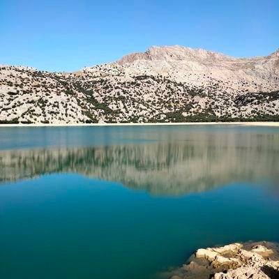 Mavia_Isern's profile picture. 