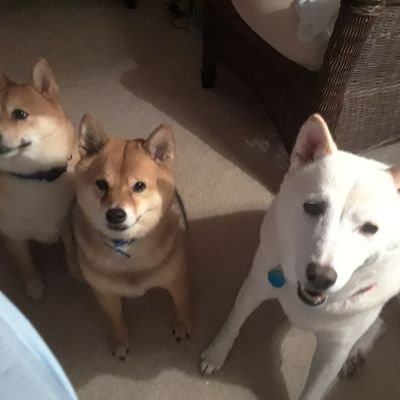 kmarro63's profile picture. 