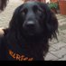 Ulrike (@glurich1) Twitter profile photo Ulrike (@glurich1) Twitter profile photo