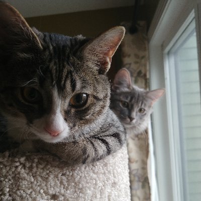 angelogia1776's profile picture. Saved to the uttermost. Child of God. Whosoever believeth will have everlasting life. Choose where you will spend eternity, Heaven or Hell.