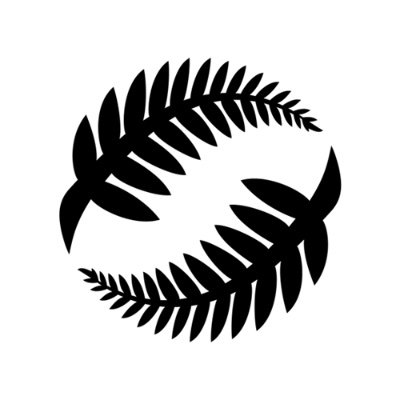 NZ_Football Profile Picture