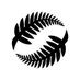 New Zealand Football 🇳🇿 (@NZ_Football) Twitter profile photo