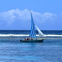 Catherine Osselet 🎗️ (@cathosselet) 's Twitter Profile Photo