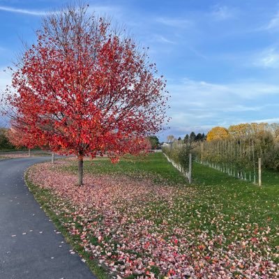 Marci3110's profile picture. 