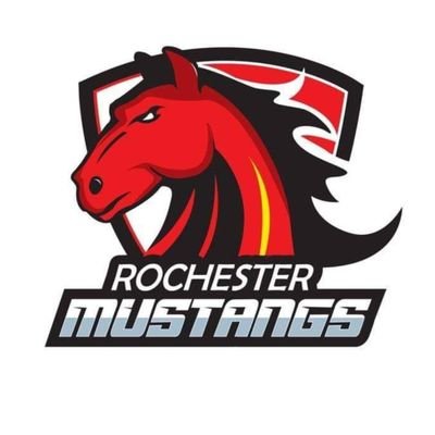 RochesterVFW Profile Picture