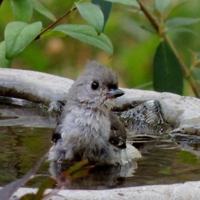 billiejomo's profile picture. 