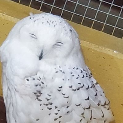 初めまして🔰静岡でフリー活動をしているノリです🦉工場勤務🛠勤務
難病💊抱え腰ヘルニア負い障害者に😢🚀このままですと人生心配で😟
ご縁がある人達と繋がりたい🤝
ラジオ📻お祭り⛩ゲーム🎮アニメ好きです✨
お仕事に困ってる方
静岡県🗻藤枝市🌾瀬戸新屋 募集中〜
気軽にご連絡を☎
宜しくお願いします