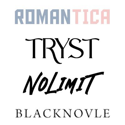 비전비엔피 NOVEL || 로맨티카·트리스트·노리밋·블랙노블さんのプロフィール画像
