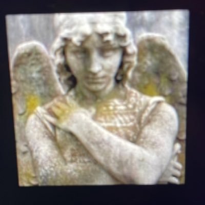 nicemarmott's profile picture. 