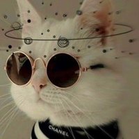Ismael Gonzales.ron (@ismaelg33511319) 's Twitter Profile