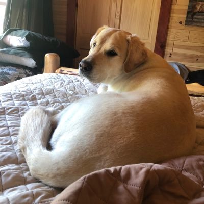 ByggBenn's profile picture. 